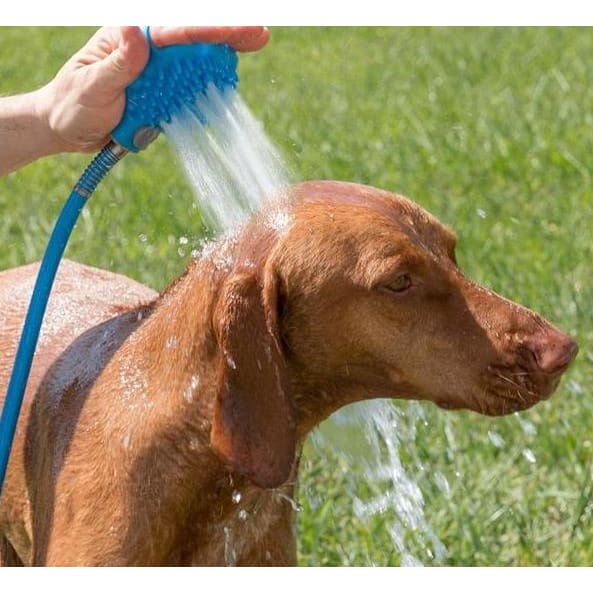 Dog bathing brush water flows through