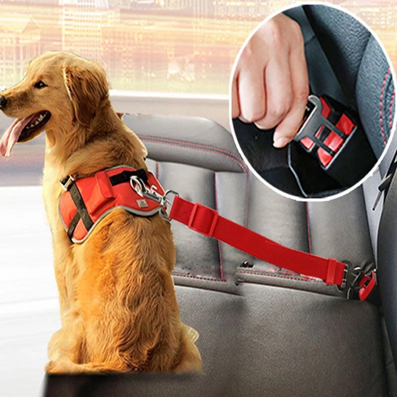 Adjustable dog car seat belt safety restraint