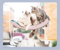 Cat window suction hammock