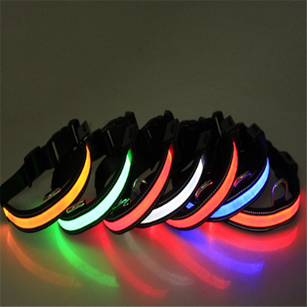 Rechargeable LED light-up dog collar