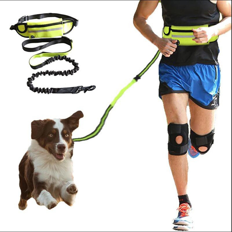 Hands-free bungee dog leash included