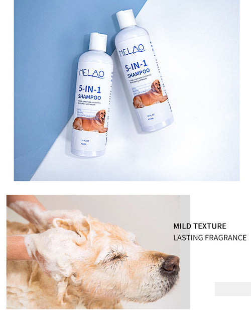 Dog and cat 5-in-1 shampoo