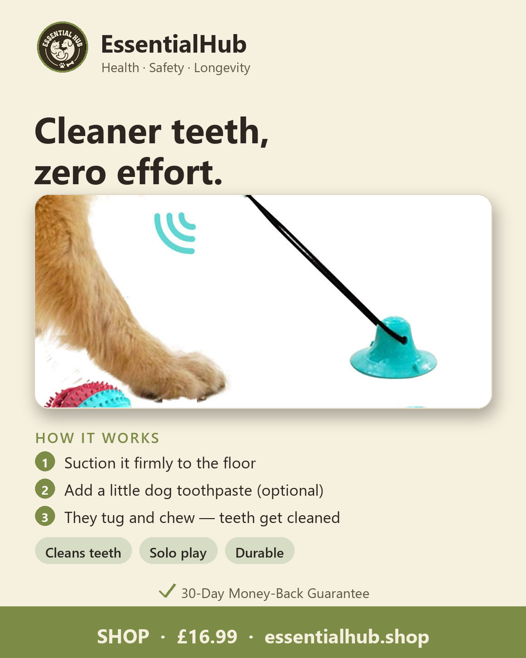 How the Toothbrush Tug Toy works